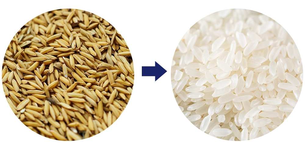 zuhenianmijixiangqing 08